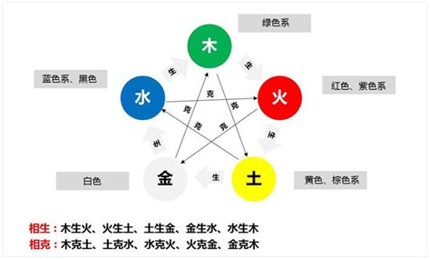 植物五行|植物的五行屬性